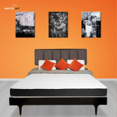 ZenMagnetique SpringEase Mattress Single Bed